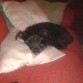 descansando del paseo